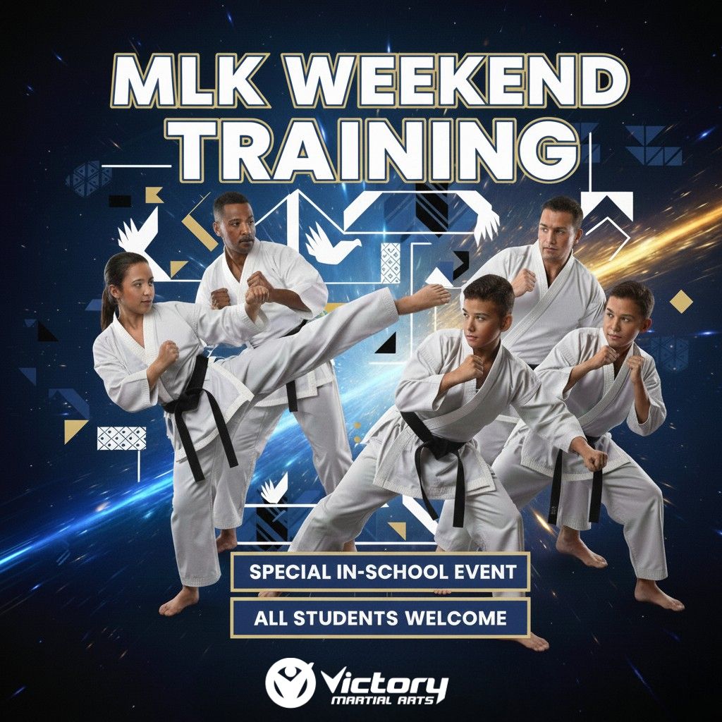 Martial Arts Action Shot 2